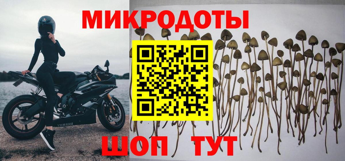 Наро-Фоминск  наркотики  Галлюциногенные грибы мухоморы  Вход с VPN  Псилоцибиновые грибы ЛСД 